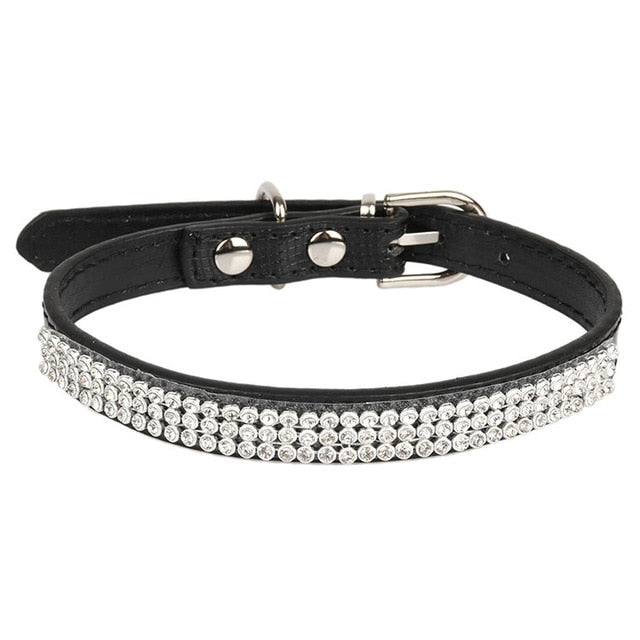 Collars & Accessories